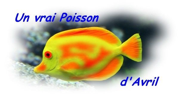 03/ UN POISSON notre 1ére JOURNEE 